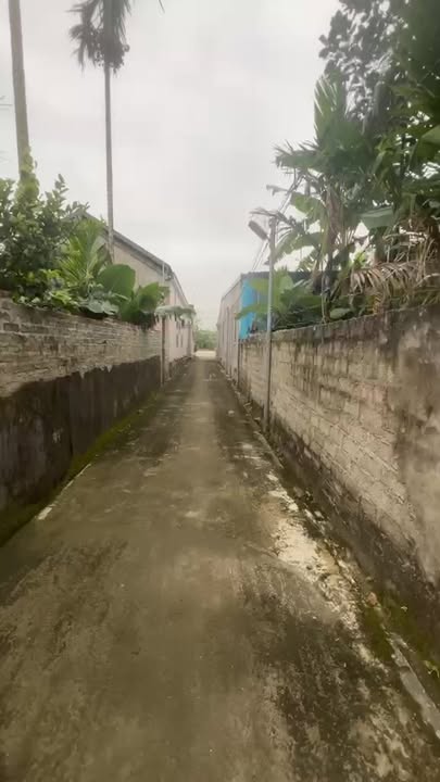 Đất nền Kim Bằng, Hương Sơn 180m² giá 40 triệu - Cơ hội đầu tư sinh lời!