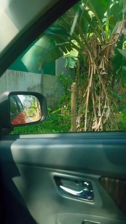 Đất Phố Châu 120m² giá 1.2 tỷ - Vị trí đẹp, phong thủy tốt!