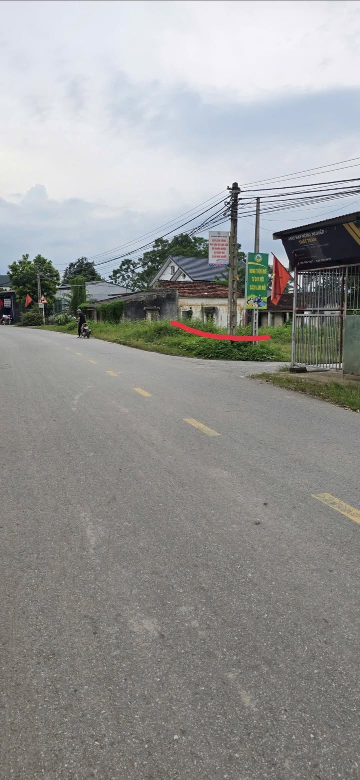 Đất thổ cư 240m² tại xã Xuân Lương, Yên Thế, Bắc Giang - Giá 1 tỷ, Kinh doanh ngay!