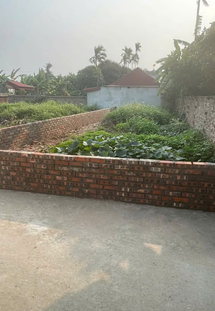 Đất thổ cư 86m² tại xã Bắc Thái Ninh - Giá chỉ 400 triệu!