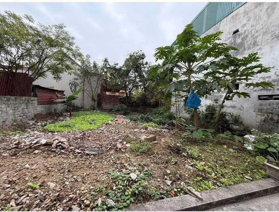 Lô đất 53m² giá 1 tỷ tại phố Trung Thành, Ninh Khánh - Chủ cần bán gấp!