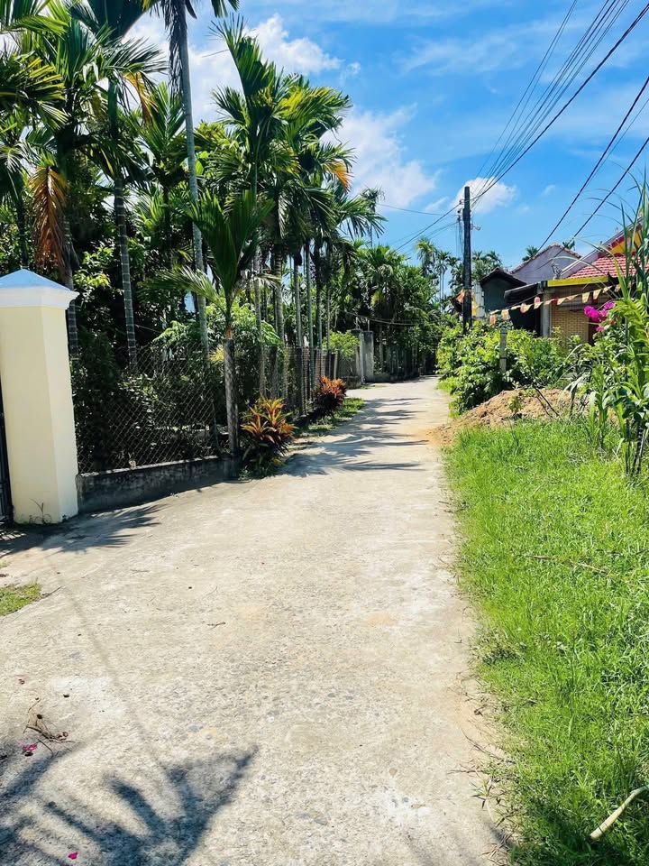 Nhà vườn Tân Hội, Quảng Ngãi 400m² giá 1.195 tỷ - Cơ hội đầu tư tuyệt vời!