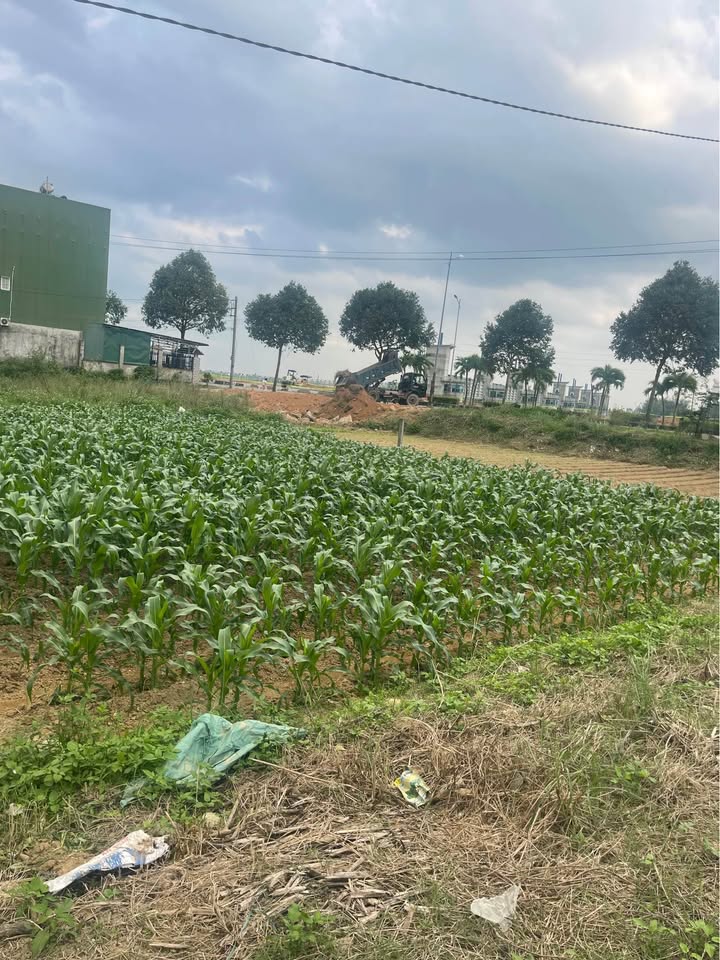 Đất nền Hoàng Sa, Quảng Ngãi 400m² - View sông Trà tuyệt đẹp!