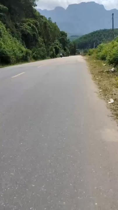 Đất nông nghiệp QL14B, Huyện Nam Giang 10.000m² - Tiềm năng đầu tư lớn!