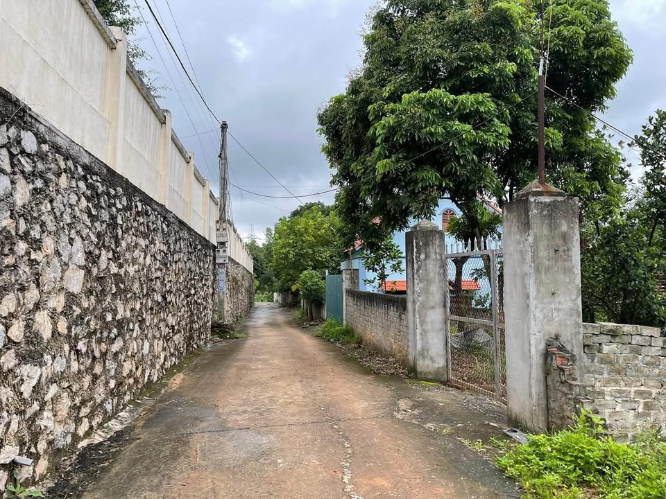 Đất nền thổ cư Thôn Cỏ Khê, Quảng Yên 144m² - Cơ hội đầu tư hấp dẫn!