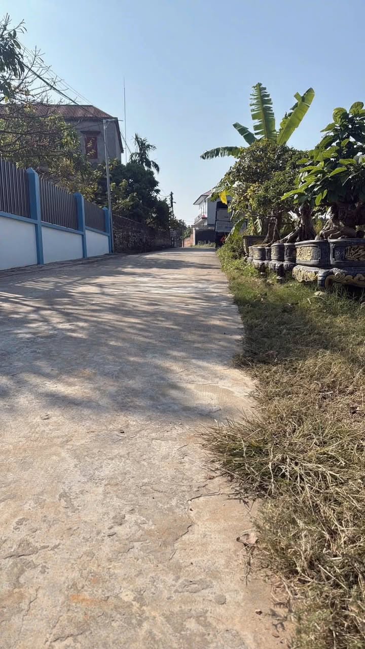 Đất thổ cư xã Lục Sơn, huyện Lục Nam 300m² giá 599 triệu - Đầu tư sinh lời ngay!