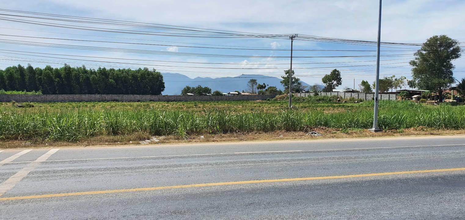 Đất nền mặt tiền Quốc lộ 1A, Xã Tân Phúc 1800m² giá 5.5 tỷ - Cơ hội đầu tư tuyệt vời!