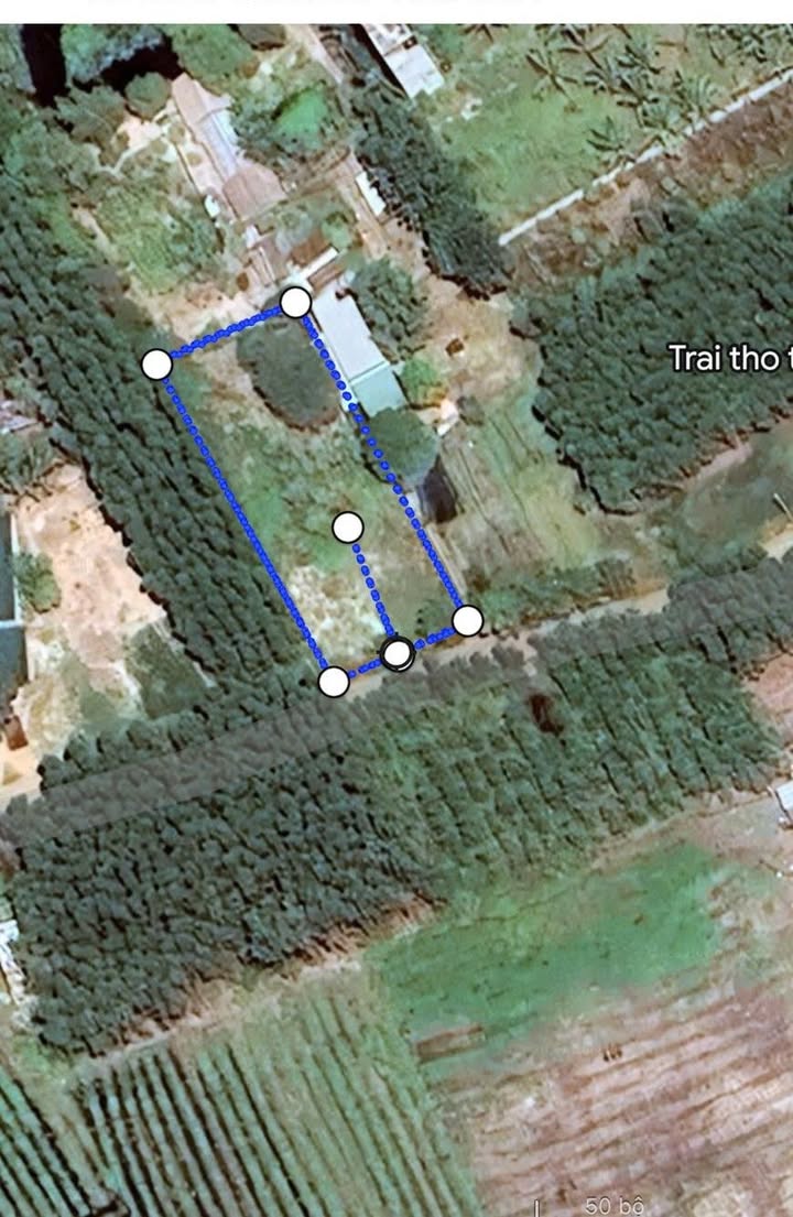 Đất nền 1000m² tại Tân Thắng, Hàm Tân - Giá thỏa thuận hấp dẫn!