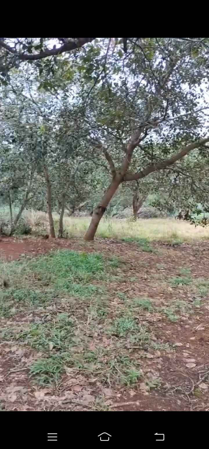 Đất nền Tân Hưng, Đồng Phú 13,000m² giá 17.5 tỷ - Cơ hội đầu tư tuyệt vời!