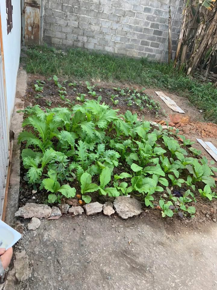 Lô đất vàng trung tâm TP Thái Nguyên 200m² giá 9 tỷ - Đầu tư sinh lời ngay!