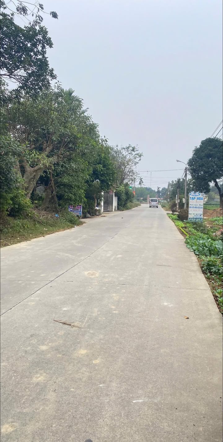 Đất Quang Trung, Phường Quán Triều 150m² giá 1.45 tỷ - Cơ hội đầu tư tuyệt vời!