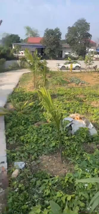 Đất thổ cư Tích Lương 775m² - Cơ hội đầu tư lý tưởng!