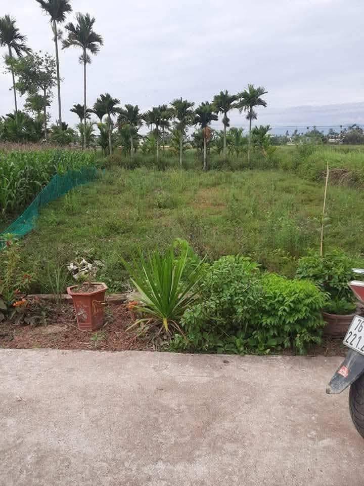 Đất vườn mini tại Xã Đức Chánh, Quảng Ngãi 254m² giá chỉ 500 triệu - Cơ hội đầu tư tuyệt vời!