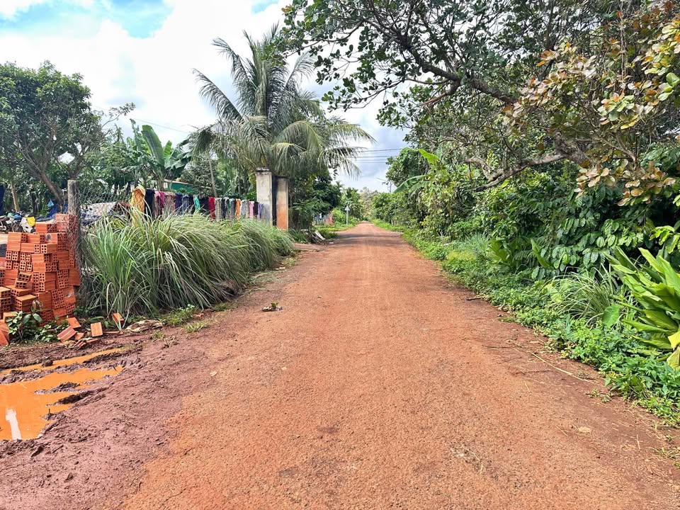 Đất mặt tiền N8, Tân An, Buôn Ma Thuột 282m² giá 1.87 tỷ - Đầu tư sinh lời!