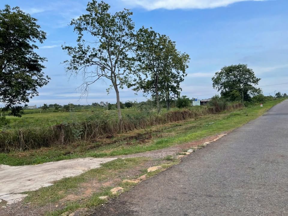 Đất thổ cư Mặt Tiền Nhựa - Phường Bình Thuận 4000m² giá 640 triệu - Đầu tư sinh lời ngay!