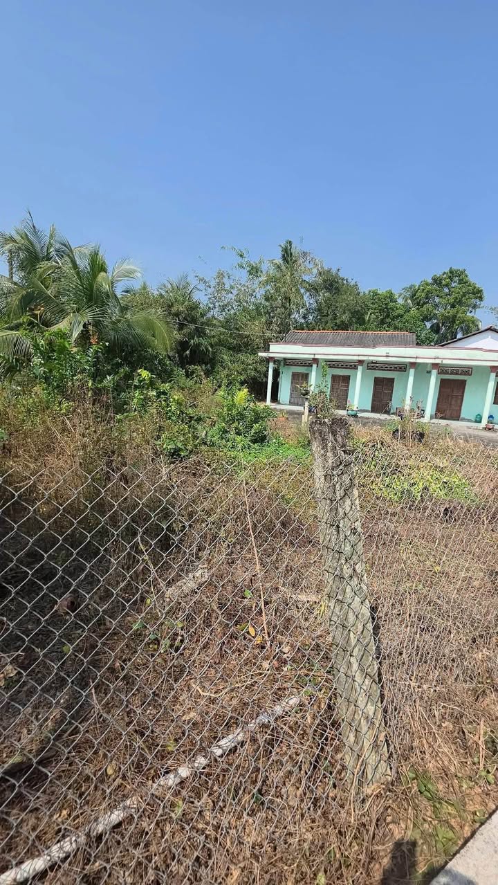 Đất nền 200m² tại Tân An, Long An - Giá chỉ 800 triệu, cơ hội đầu tư tuyệt vời!