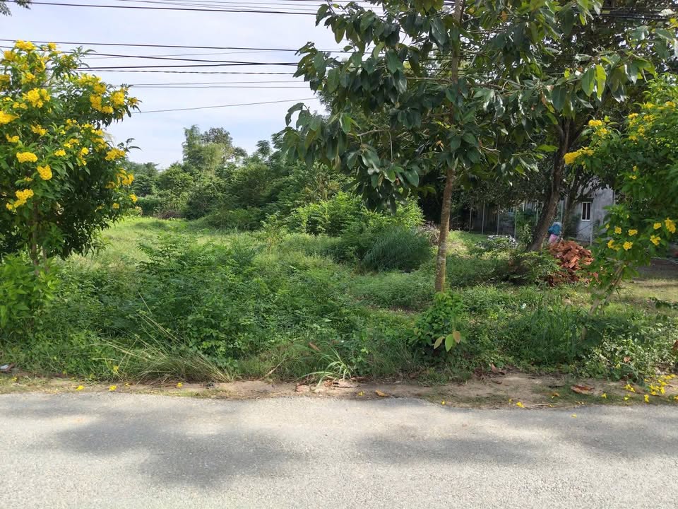 Đất mặt tiền Đức Ngãi 2, 520m² giá 2.5 tỷ - Cần tiền bán gấp!