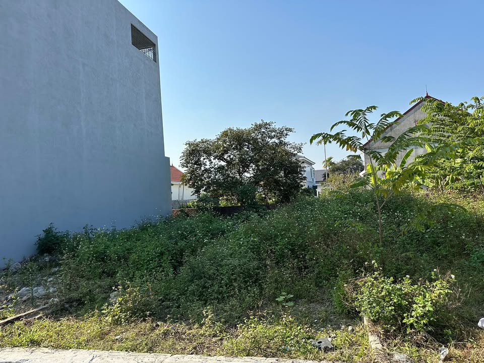 Đất nền Xích Thổ, Hồng Thái, An Dương 60m² giá 1.52 tỷ - Đường ô tô vào tận nơi!