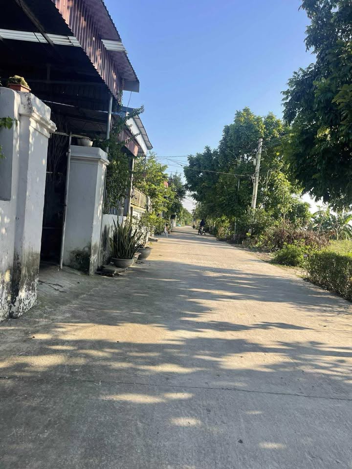 Đất Liên Minh Nam Định 175m² giá chỉ 1.2 tỷ - Đường ô tô rộng rãi, dân cư đông đúc!