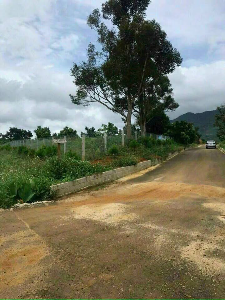 Đất nền Bảo Lộc 3739.2m² giá 15.73 tỷ - Mặt tiền thoáng, view núi đẹp!