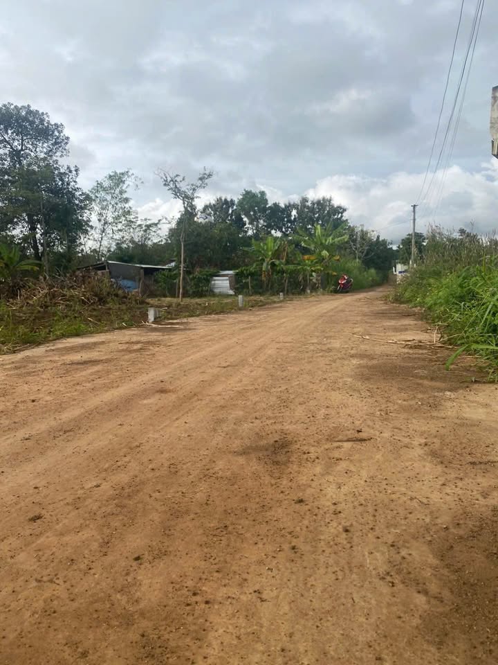 Đất thổ cư xã Ea Tiêu 125m² giá 280 triệu - Cơ hội đầu tư tuyệt vời!