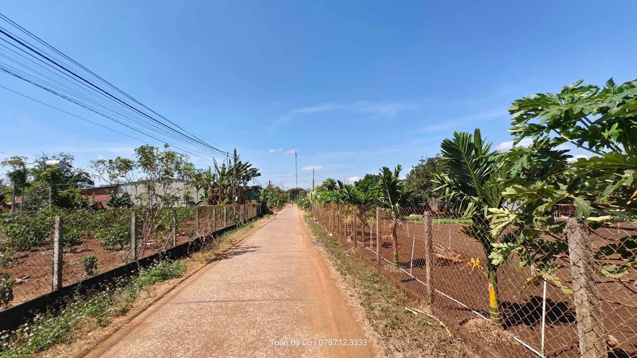 Đất nền 220m² Thôn 4, Betong, Đắk Nông - Đường thông thoáng, dân cư đông đúc!