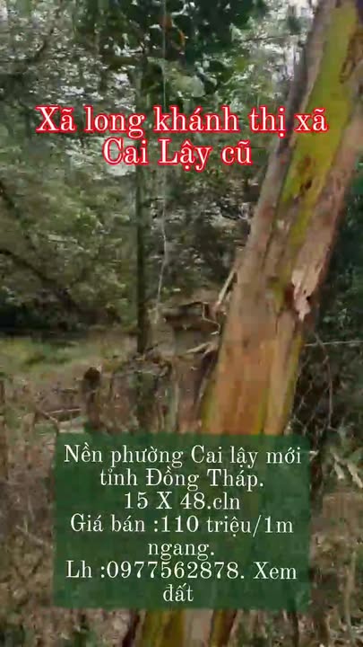 Đất nền thổ cư xã Vĩnh Thạnh, huyện Lấp Vò, 720m² giá 1.65 tỷ - Mặt tiền sông thoáng mát!