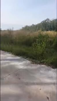 Đất nền Xã Lộc Thịnh Huyện Lộc Ninh 2500m² giá chỉ 300 triệu - Cơ hội đầu tư hấp dẫn!