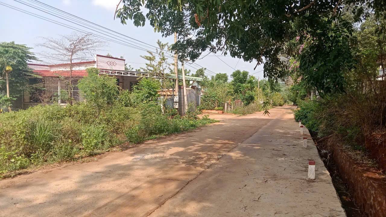 Đất nền xã Lộc Tấn, tỉnh Bình Phước 590m² giá 4xx triệu - Sổ sách đầy đủ, vị trí đẹp!