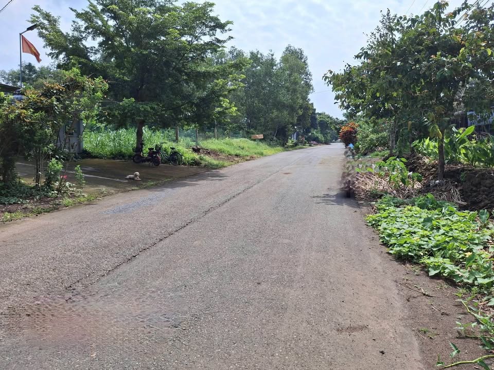 Đất nền xã Định Quán, Đồng Nai 225m² giá chỉ 899 triệu - Đầu tư sinh lời ngay!