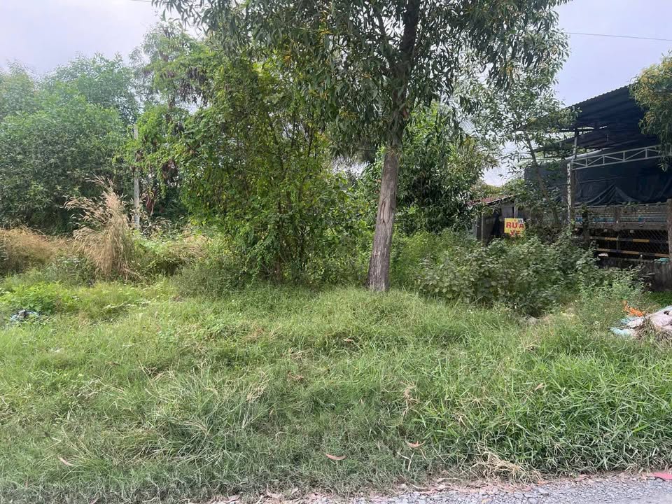 Đất thổ cư 360m² tại Bàu Sen, Đức Hòa - Giá chỉ 1.95 tỷ - Đường 5m sắp bê tông!