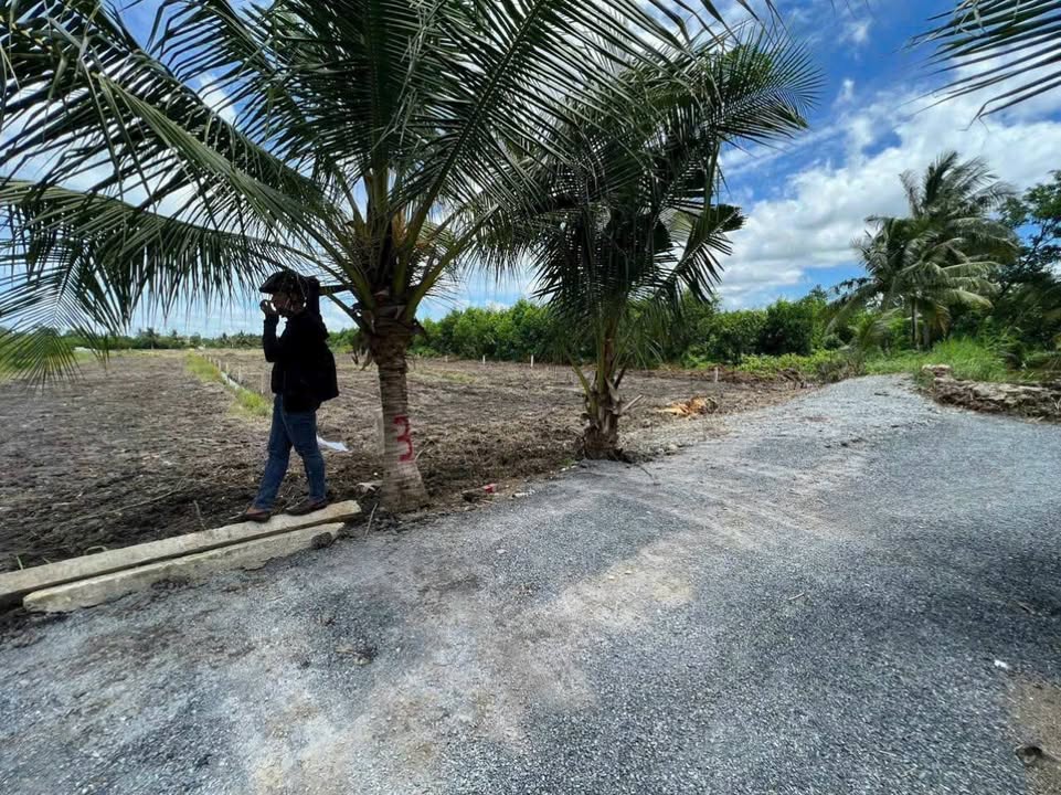 Đất Bến Lức 850m² giá 850 triệu - Sổ hồng chính chủ, đầu tư sinh lời!