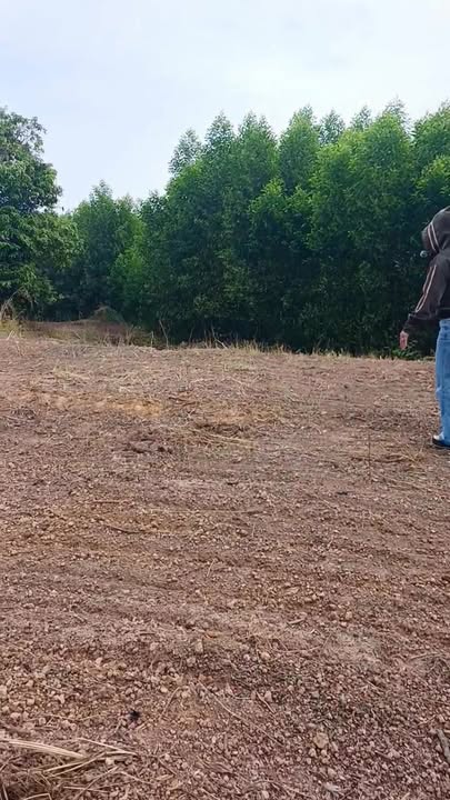 Đất nền 7200m² tại Xã Suối Rao, Huyện Châu Đức - Giá chỉ 1,2 tỷ VND!