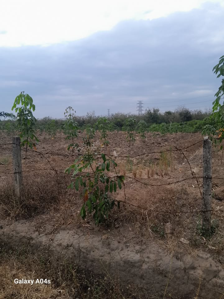 Đất nền xã Long Hà, huyện Phú Riềng 190m² giá 2.5 tỷ - Đường ô tô vào tận nơi!