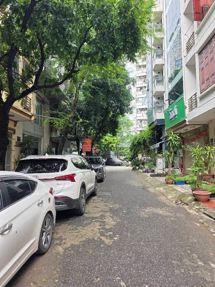 Nhà phân lô Hoàng Sâm, Cầu Giấy 60m² giá 18.2 tỷ - Sổ vuông đẹp, ô tô tránh!