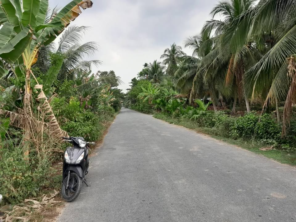 Đất nền 1407m² mặt tiền huyện lộ 50 - Giá 142.8 tỷ - Vị trí thuận lợi cho đầu tư!