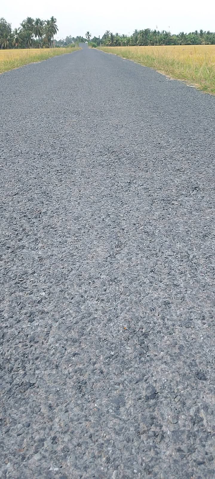 Đất nền 580m² mặt tiền lộ Chông Chác - Giá chỉ 600 triệu VND - Cơ hội đầu tư hấp dẫn!