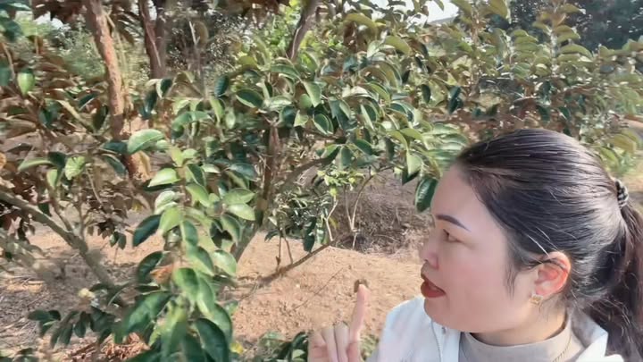 Đất Farm Lục Sơn Bắc Giang 5000m² giá 750 triệu - Cơ hội đầu tư tuyệt vời!