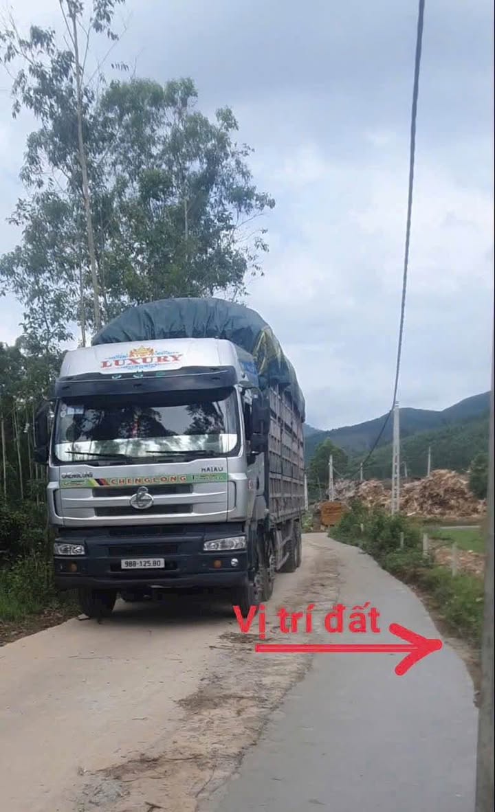 Đất nền 303m² mặt tiền 15m tại Thung lũng Trăng, Lục Nam - Giá chỉ 500 triệu!