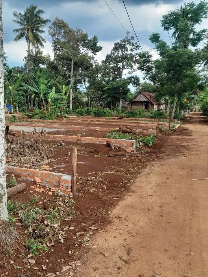 Đất thổ cư Hòa Thắng BMT 100m² giá 795 triệu - Cơ hội đầu tư tuyệt vời!