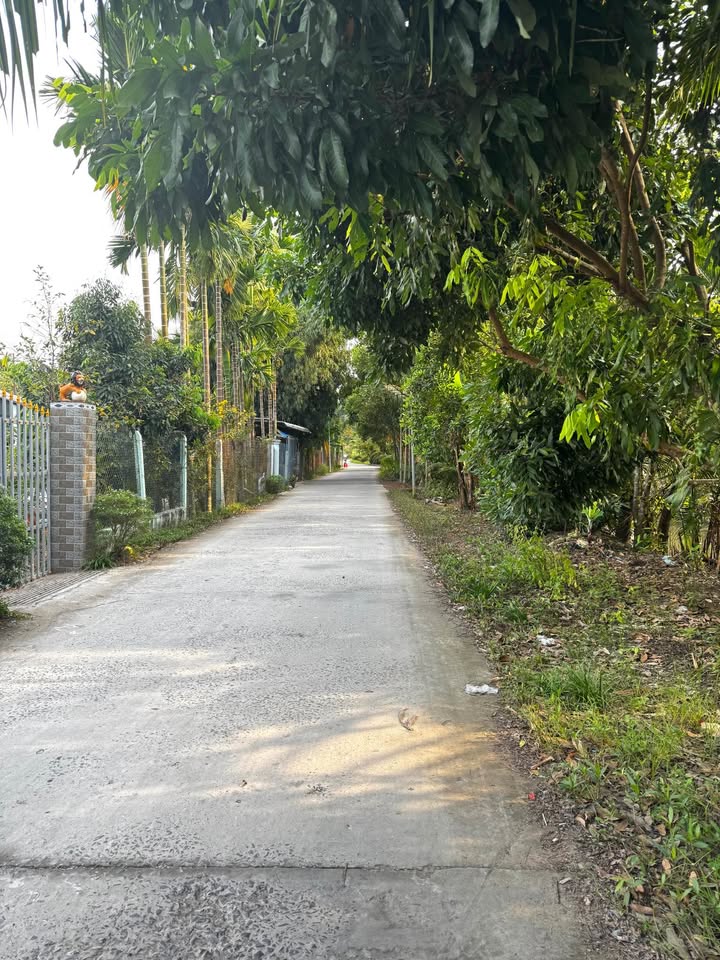 Đất nền Xã Nhơn Ái Huyện Phong Điền 188m² - Đầu tư sinh lời lý tưởng!