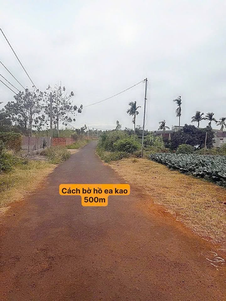 Đất nền tdp1, phường Ea Kao 120m² giá 795 triệu - Cơ hội đầu tư không thể bỏ lỡ!