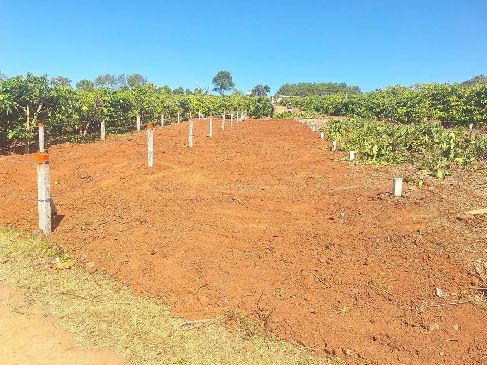 Đất hẻm Lý Chính Thắng, An Phú, 175m² giá 400 triệu - Đầu tư sinh lời ngay!