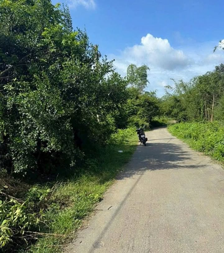 Đất nền Thái Mỹ Củ Chi 505m² giá 3.25 tỷ - Mặt tiền đường nhựa rộng rãi!