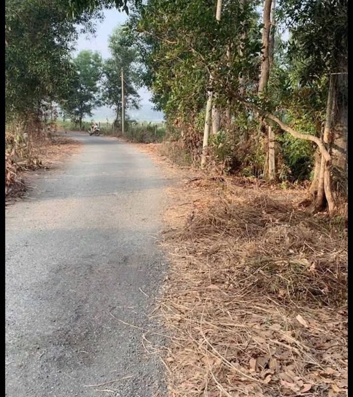 Đất vườn Tân Thạnh Tây, Củ Chi 5.926m² giá 11.26 tỷ - Tiềm năng đầu tư tuyệt vời!