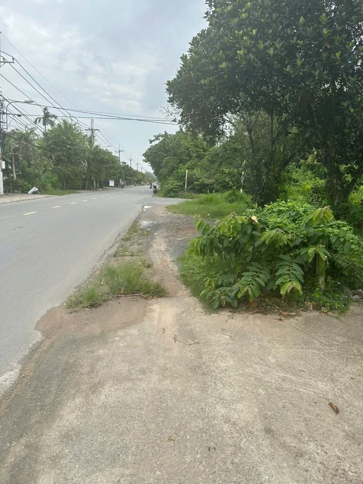 Nhà mặt tiền kinh doanh và kho xưởng 300m² tại Củ Chi - Giá chỉ 3 tỷ, bán gấp!