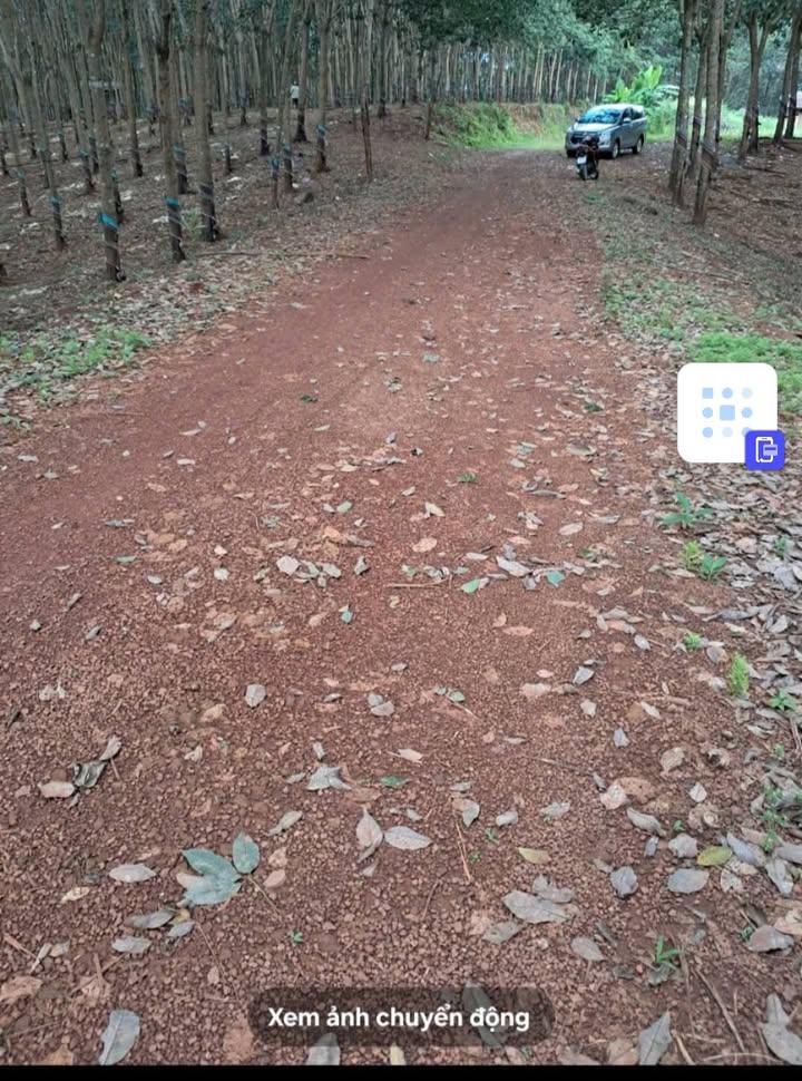 Đất nền 36000m² tại xã Phước Sơn, Nhơn Trạch - Giá chỉ 1.25 tỷ!