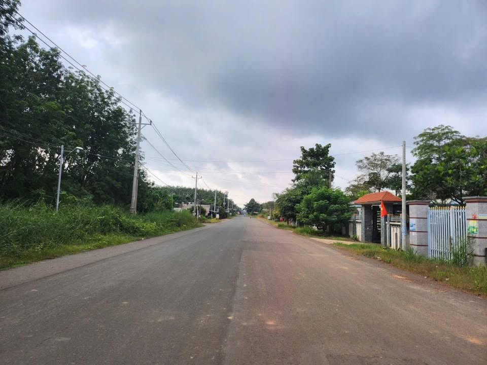 Đất nền 4.600m² Trục chính chợ Tân Phước - Giá gấp chỉ 6.99 tỷ!