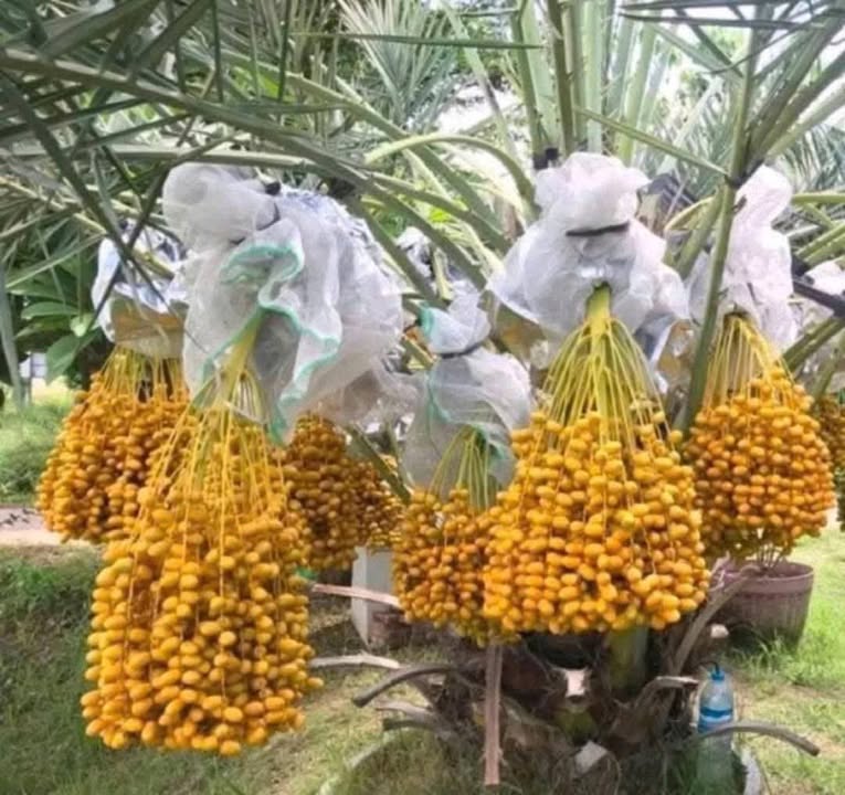 Đất nền Thị Kiều Lộc An 102m² giá 2.2 tỷ - Đầu tư sinh lời nhanh!