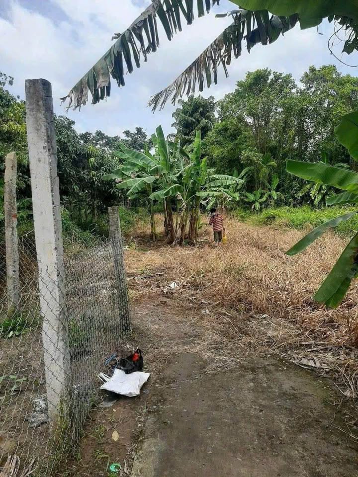 Đất nền xã Giai Xuân 300m² giá 600 triệu - Đầu tư sinh lời ngay!